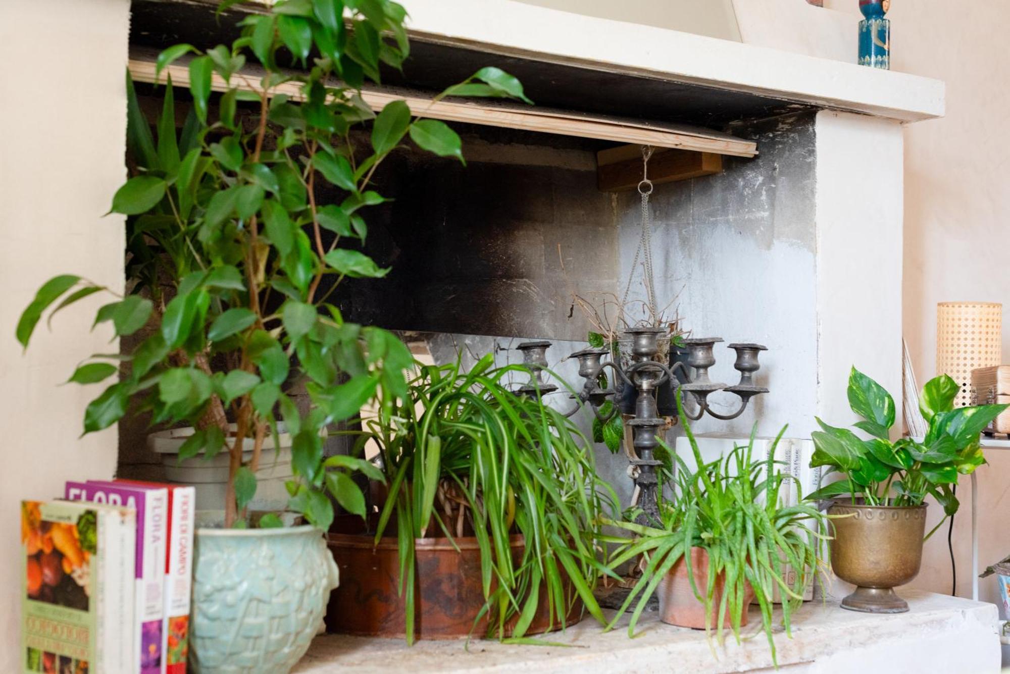 Botanica Apartment กัลกาตา ภายนอก รูปภาพ